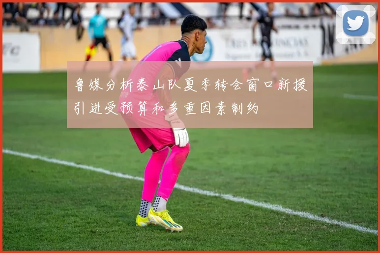鲁媒分析泰山队夏季转会窗口新援引进受预算和多重因素制约